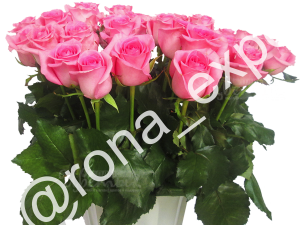 доставка цветов на дом Пятигорск