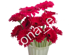 Мираж