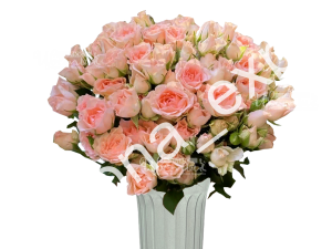 розы поштучно с доставкой