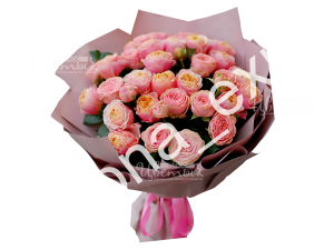 Май Мелоди