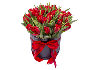 Red Passion