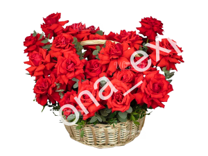 Французская роза