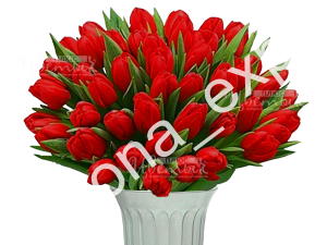 стронг лав