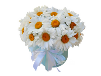 Снежная королева