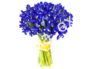 Сапфир